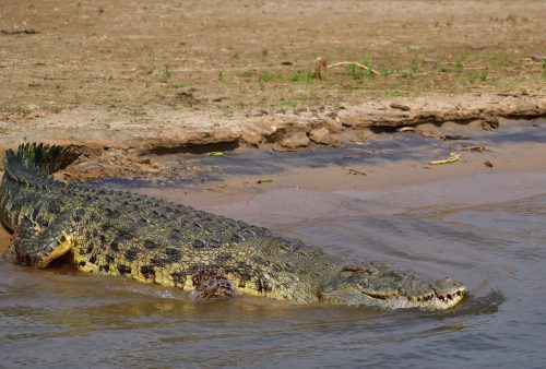 0153 Murchison 20260104