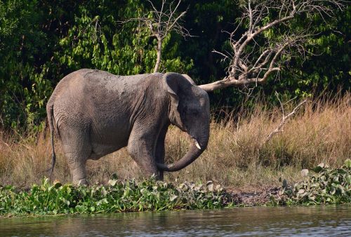 0157 Murchison 20260104