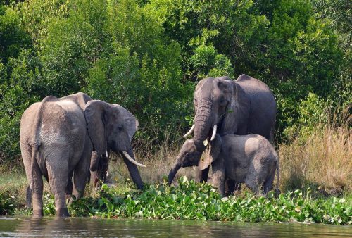 0158 Murchison 20260104