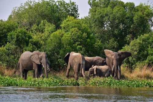 0159 Murchison 20260104