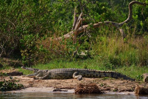 0160 Murchison 20260104