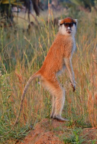 0161 Murchison 20260104