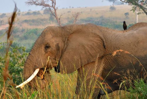 0165 Murchison 20260104