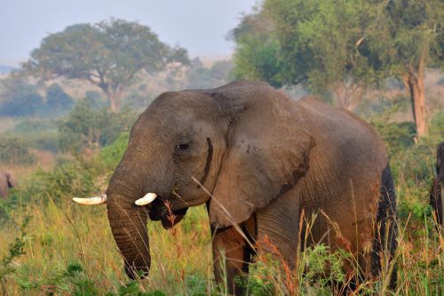 0169 Murchison 20260104