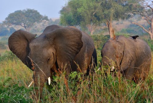 0170 Murchison 20260104