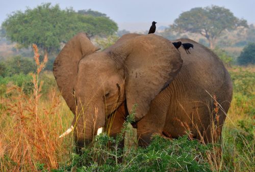 0171 Murchison 20260104