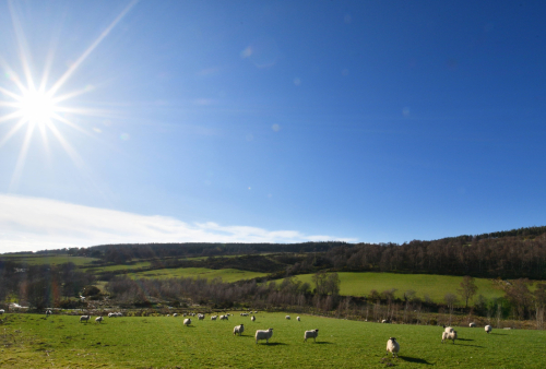 130 Schotland Aberlour 20230408