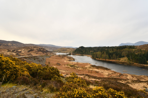 196 Schotland Highlands 20230409